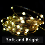 Color Changing Fairy Lights