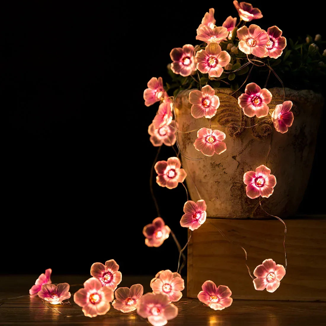 Cherry Blossom Fairy Lights - Battery Powered - Jcfyoo Lights