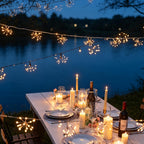 Firework Fairy Lights