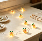 Rudolph Reindeer Fairy Lights