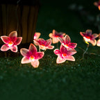 Pink Flower Fairy Lights - Battery Powered - Jcfyoo Lights